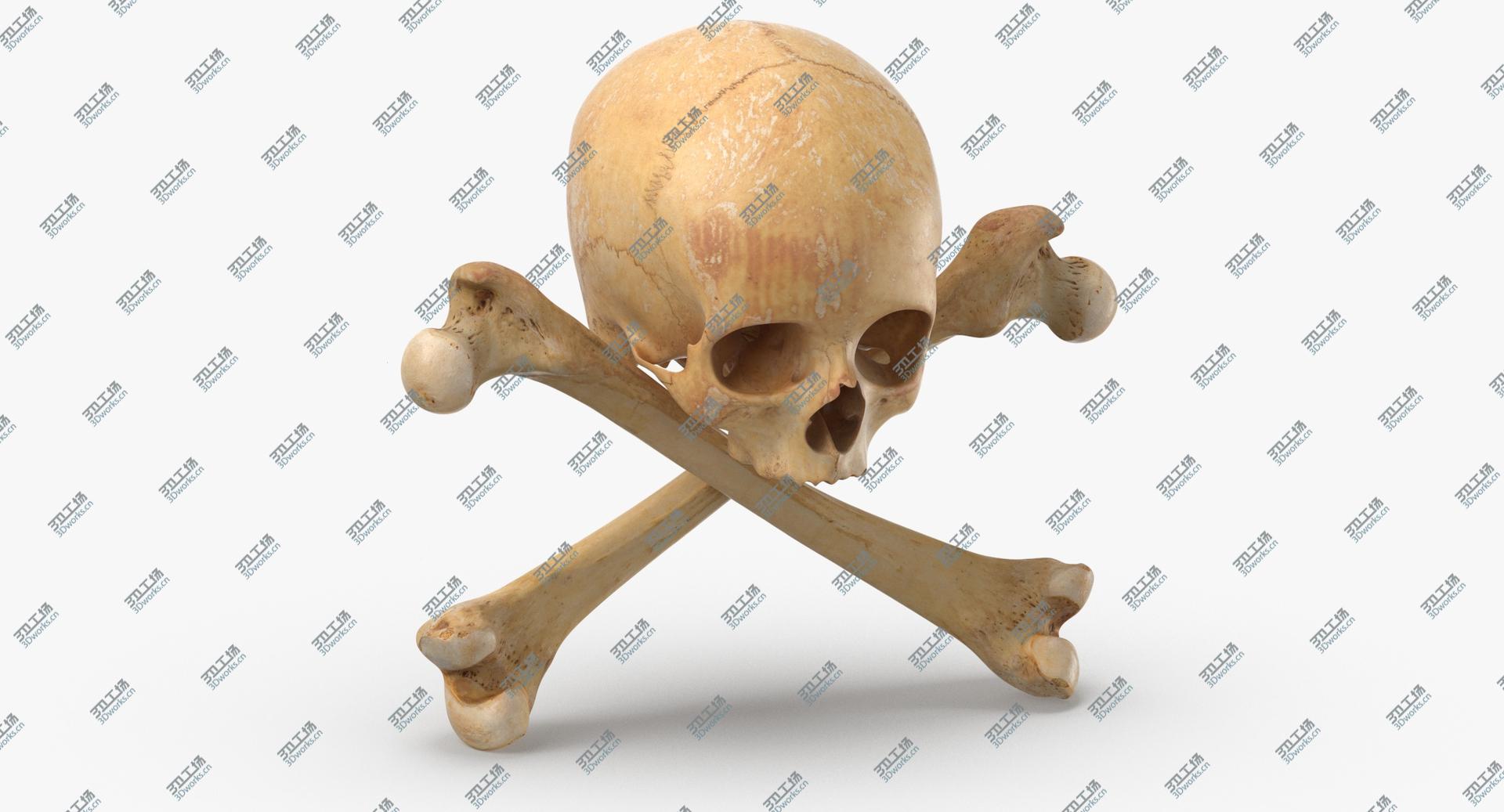 images/goods_img/202104091/3D model Pirate Skull and Bones Composition 02/4.jpg